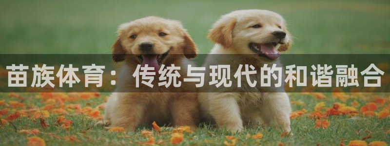 JJB竞技宝官网下载软件:苗族体育:传统与现代的和谐融合