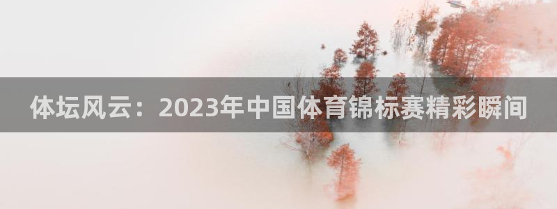 JJB竞技宝官网下载平台注册流程图:体坛风云:2023年中国