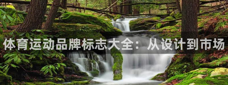 JJB竞技宝官网下载平台是正规平台吗:体育运动品牌标志大全: